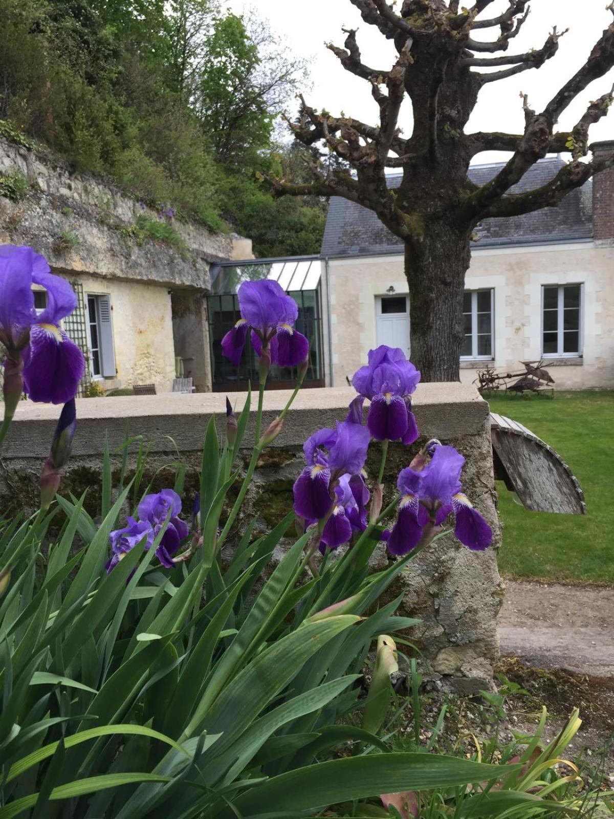 Château de Nazelles Exterior foto